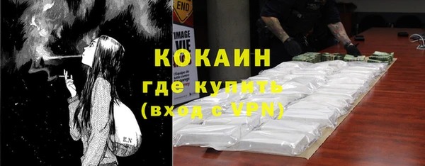 соль ск Козельск
