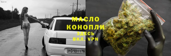 соль ск Козельск