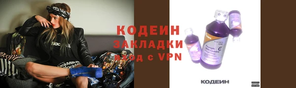 соль ск Козельск