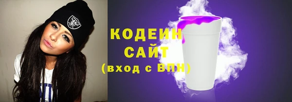 соль ск Козельск