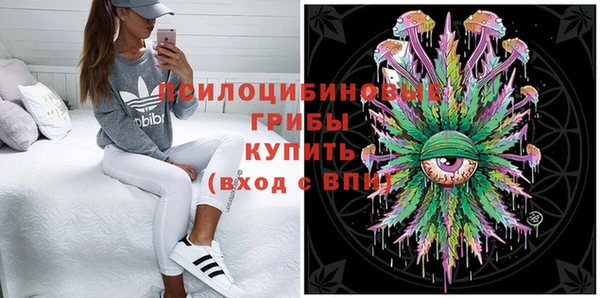 стафф Козловка