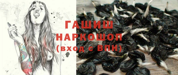 индика Вязники