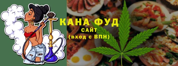 индика Вязники