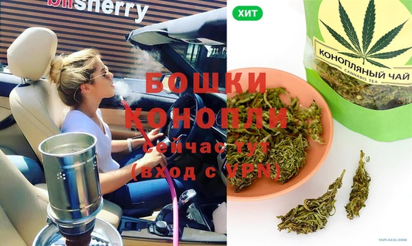стафф Козловка