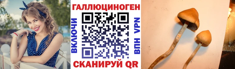 Псилоцибиновые грибы ЛСД  маркетплейс наркотические препараты  Ульяновск 