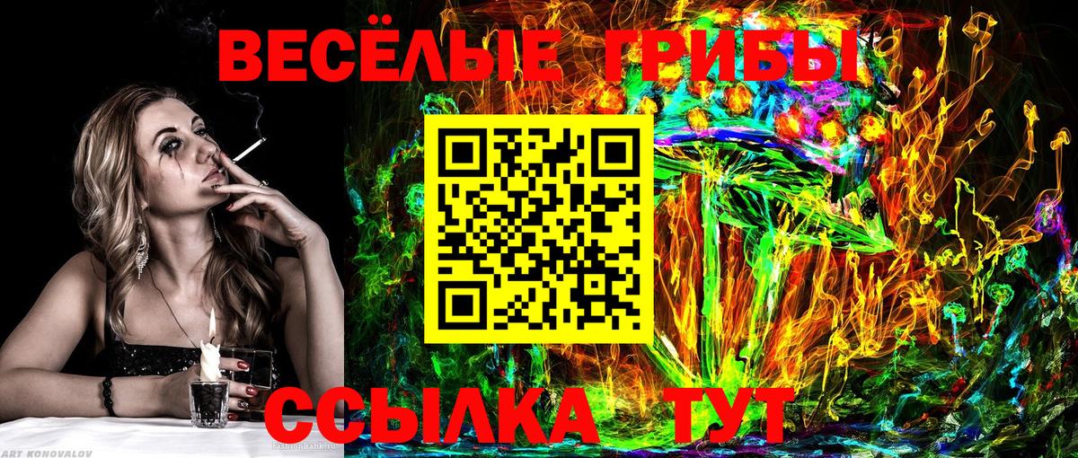 Галлюциногенные грибы Cubensis  что такое   Псилоцибиновые грибы мухоморы  Ульяновск 